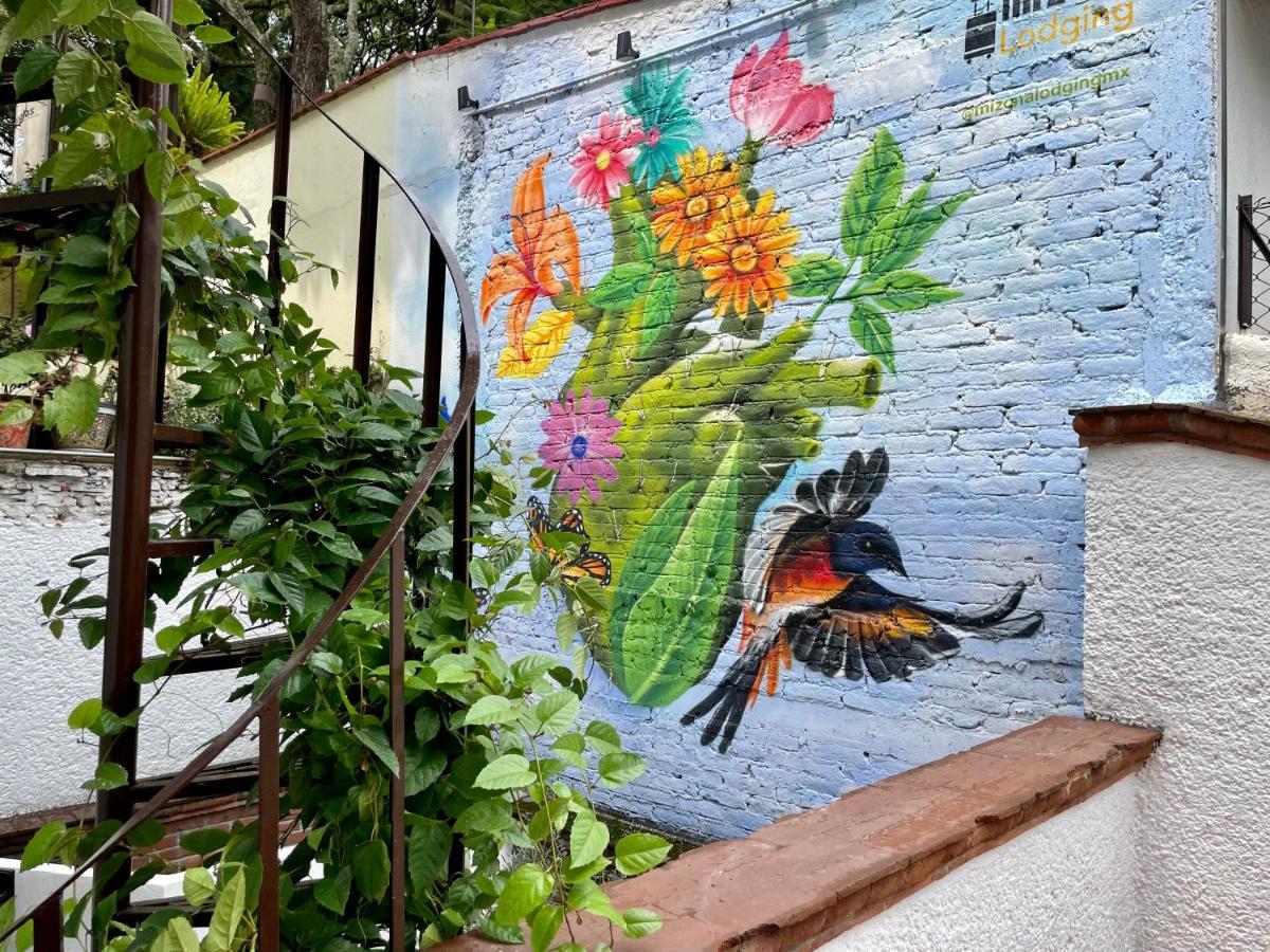 Mi Zona Lodging Coyoacan 墨西哥城 外观 照片