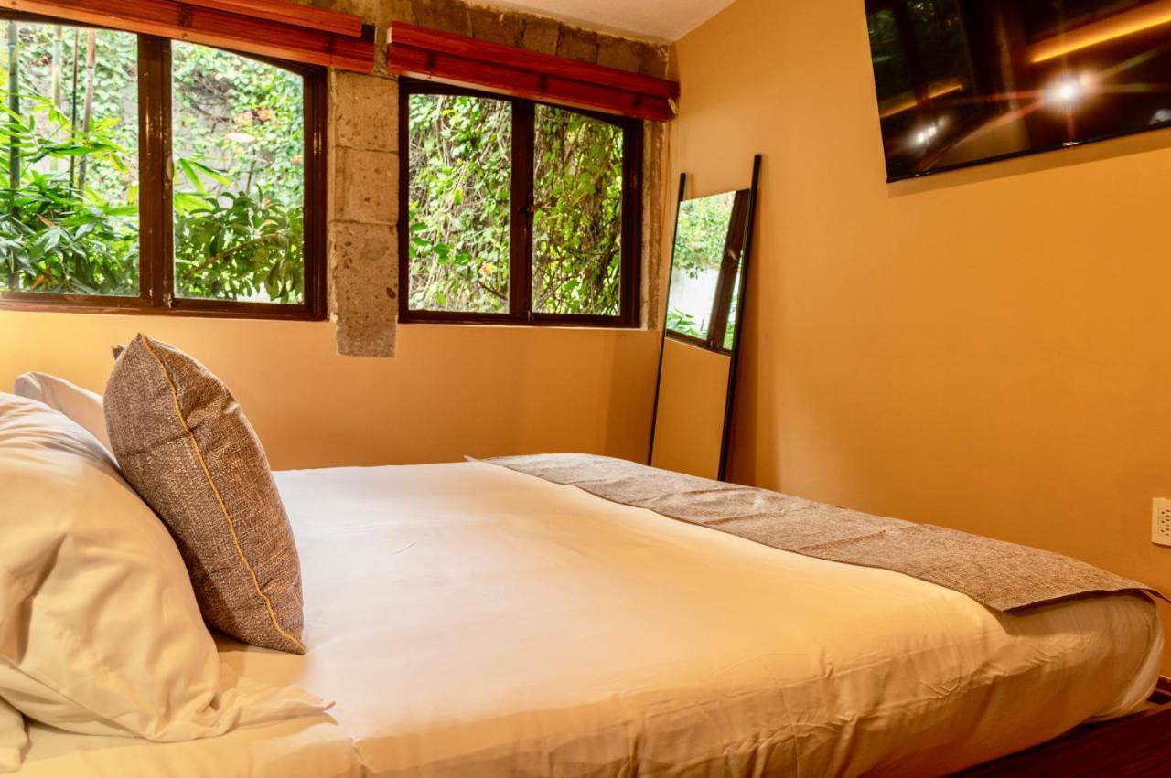 Mi Zona Lodging Coyoacan 墨西哥城 外观 照片