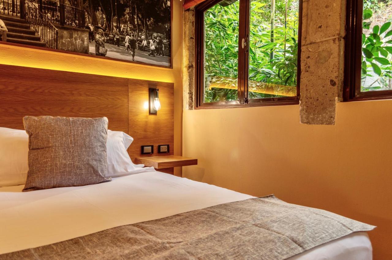 Mi Zona Lodging Coyoacan 墨西哥城 外观 照片