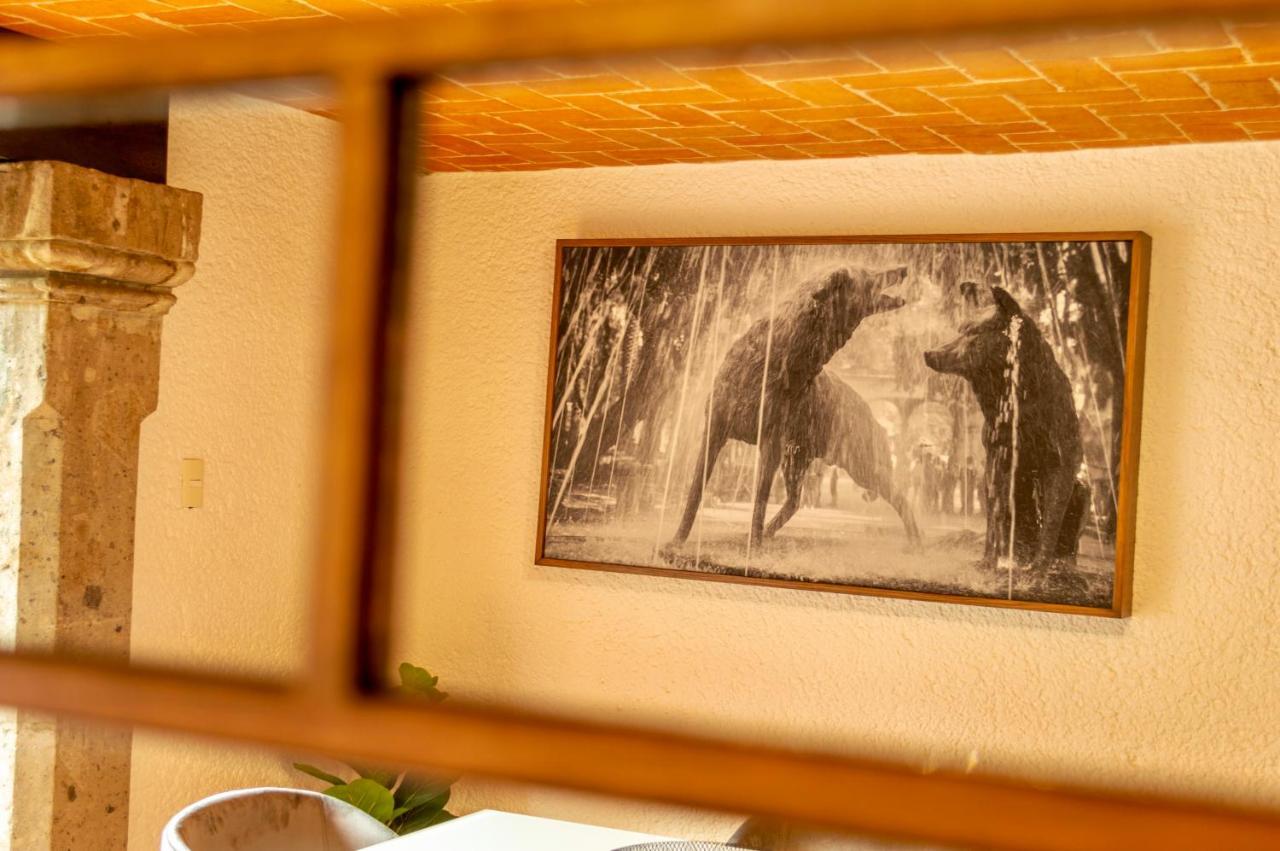 Mi Zona Lodging Coyoacan 墨西哥城 外观 照片